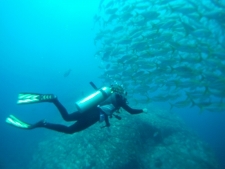 Buceo en la Isla del Caño